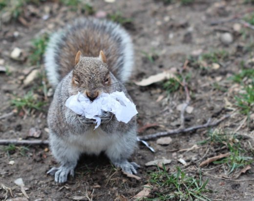 #ВолиньБезПакетів
