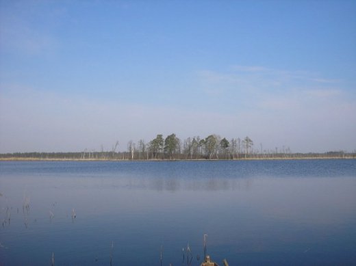 З волинського Полісся з любов’ю 
