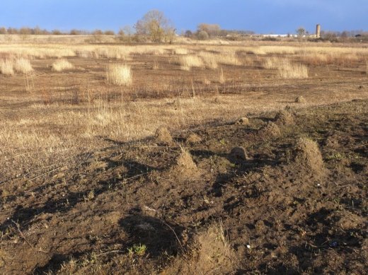 Знущання над Волинською землею триває