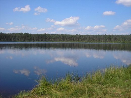 З волинського Полісся з любов’ю 