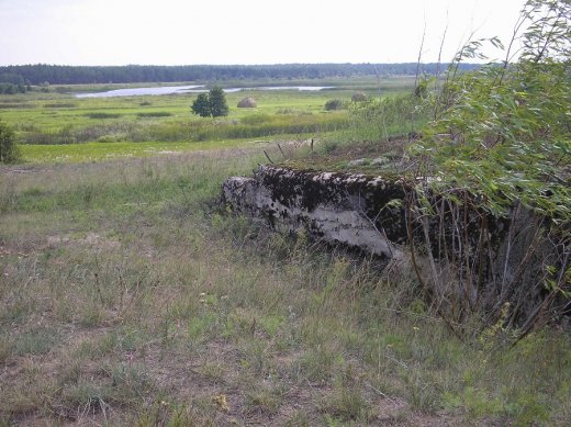 Край волинської ойкумени