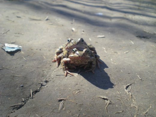 Місто з почуттям гумору