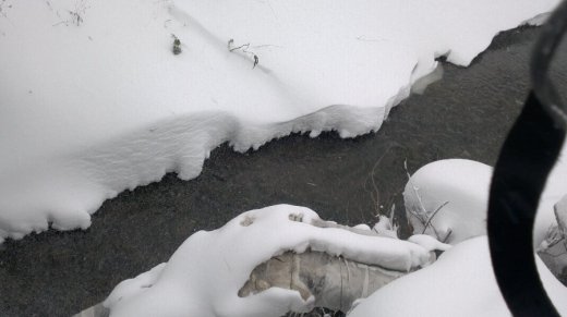 Сніжний Луцьк у неділю, або мій робочий день