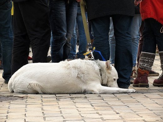 Про мій Київ. Для тих, хто «обриває» мої телефони