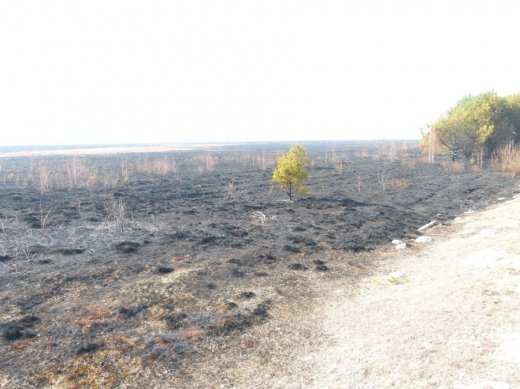 Знущання над Волинською землею триває