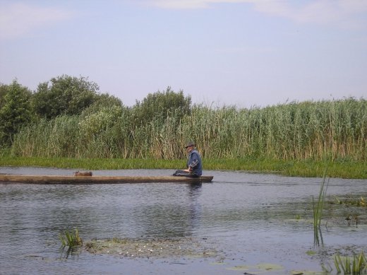 Край волинської ойкумени