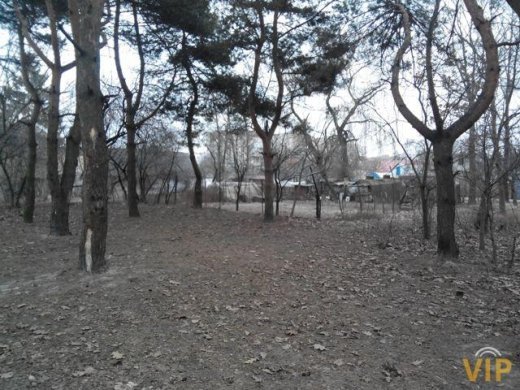 Коли видно біля парку, а не видно коло носа, або Причини вибіркової сліпоти «захисників» громади Луцька