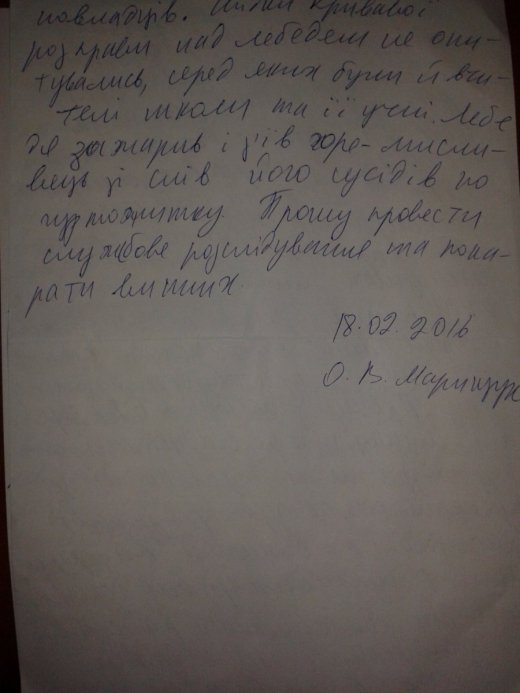 Не стріляйте в білих лебедів!