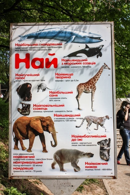 Псевдоєвропейський Луцьк  Або Чому у Рівному кращий зоопарк? ФОТО