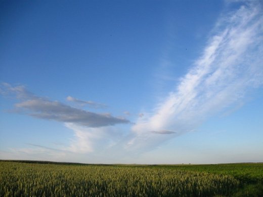 МІСІЯ УКРАЇНИ