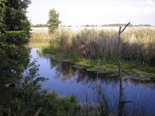 Край волинської ойкумени