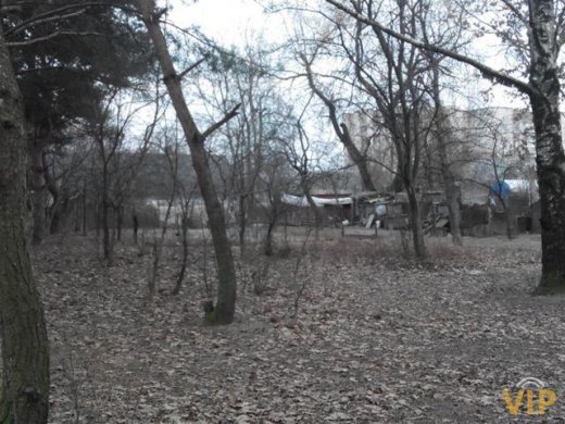 Коли видно біля парку, а не видно коло носа, або Причини вибіркової сліпоти «захисників» громади Луцька