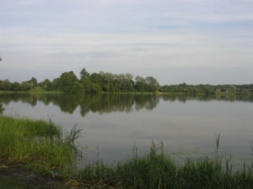 З волинського Полісся з любов’ю 