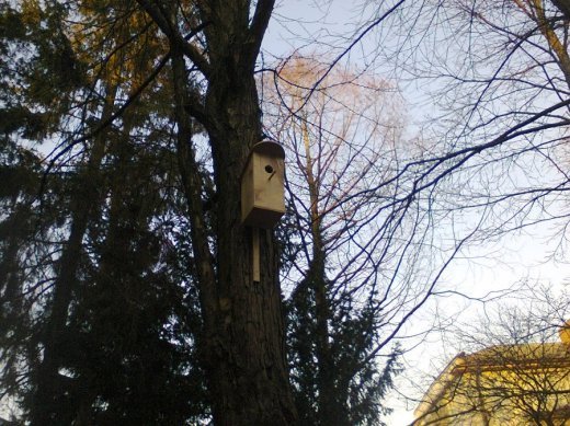 Гріє душу село, моє рідне село (с)