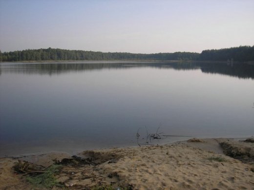 З волинського Полісся з любов’ю 