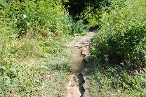 Луцьк. Постпотопельні кадри