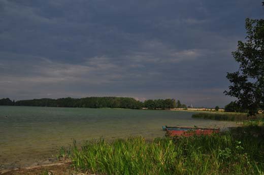 Мальовничий куточок Волинської області між озерами Святе та Довге роздали без відома власника - Турської сільради