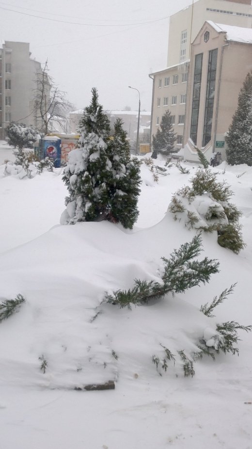 Сніжний Луцьк у неділю, або мій робочий день