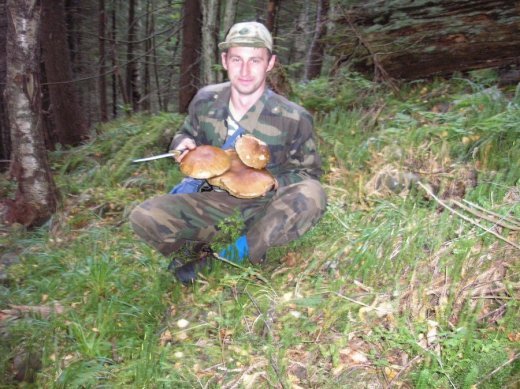 По цекотах на вершини незвіданих Горган