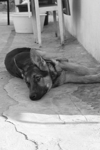 Посторонним вход воспрещен…