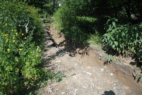 Луцьк. Постпотопельні кадри