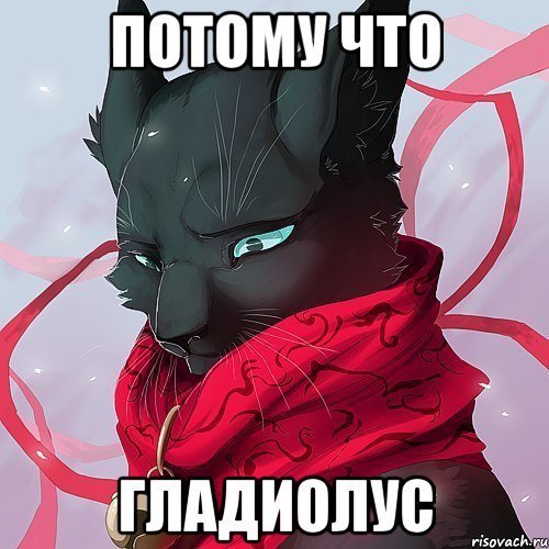 А тому, що гладіолус