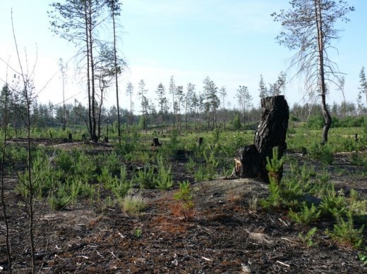 Знущання над Волинською землею триває