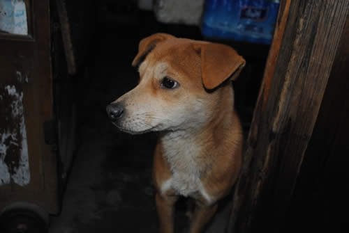 Китайське, Прощальне