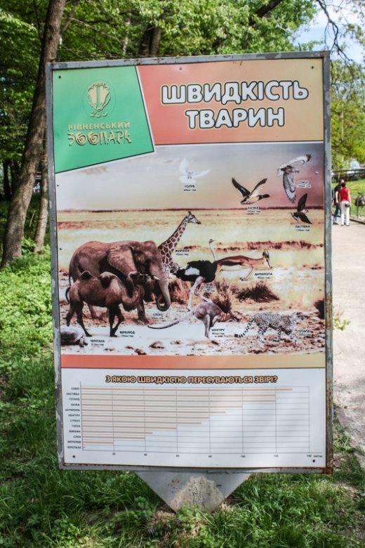 Псевдоєвропейський Луцьк  Або Чому у Рівному кращий зоопарк? ФОТО