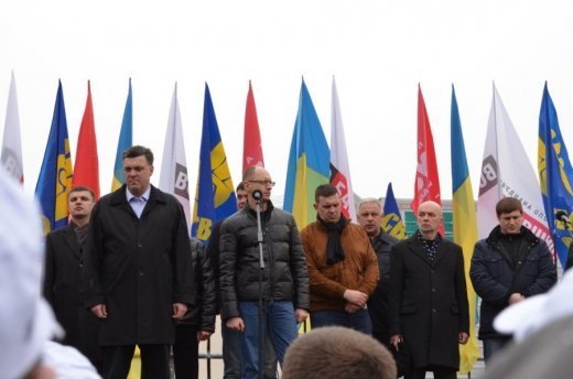 Мирні зібрання у Луцьку: «а баба Яга проти»