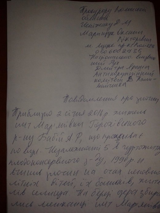 Не стріляйте в білих лебедів!