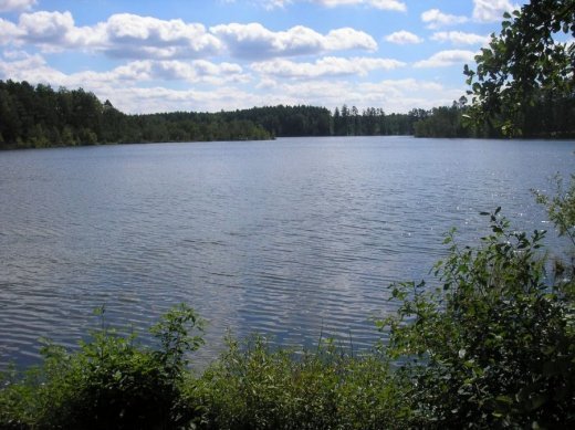 З волинського Полісся з любов’ю 