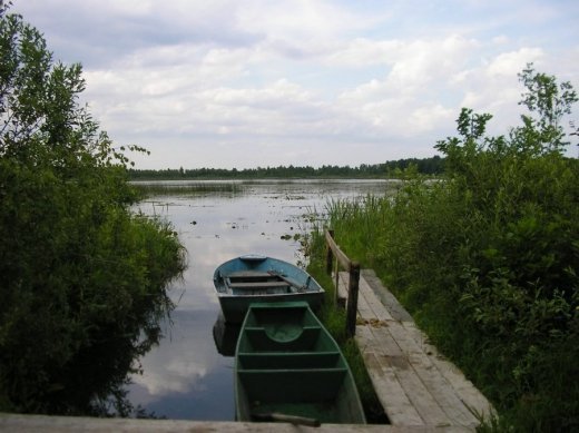 З волинського Полісся з любов’ю 