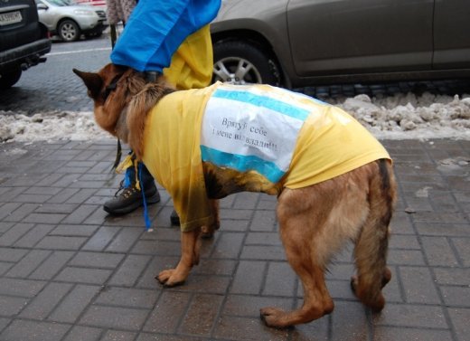 Про Банкову, хлопців у формі й мої сльози