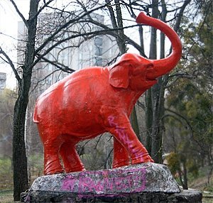 Як луцький слон міняв кольори