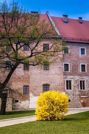 «Нотатки мандрівника»: Як місто королів підкорило моє серце