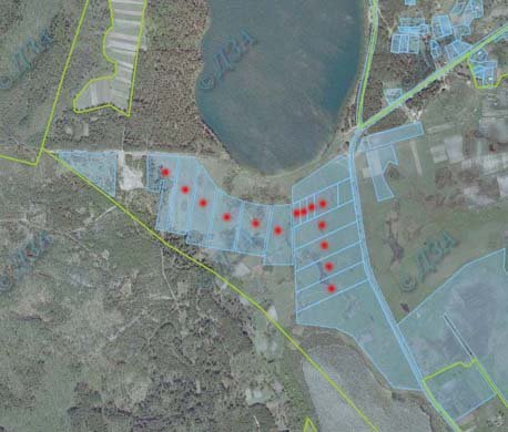 Мальовничий куточок Волинської області між озерами Святе та Довге роздали без відома власника - Турської сільради