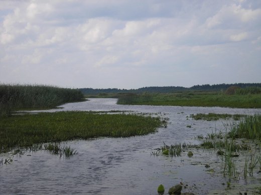 Край волинської ойкумени