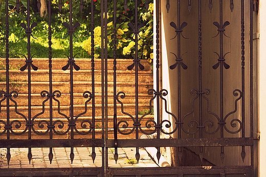 Луцька алергія на громадське