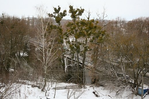Луцьк із висоти: експедиція на вежу Сигізмунда