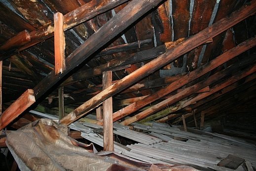 Луцьк із висоти: експедиція на вежу Сигізмунда