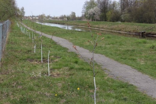 Алея Героїв