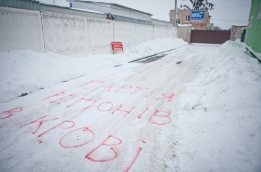 Партія регіонів в крові