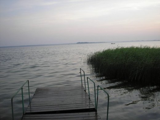 З волинського Полісся з любов’ю 