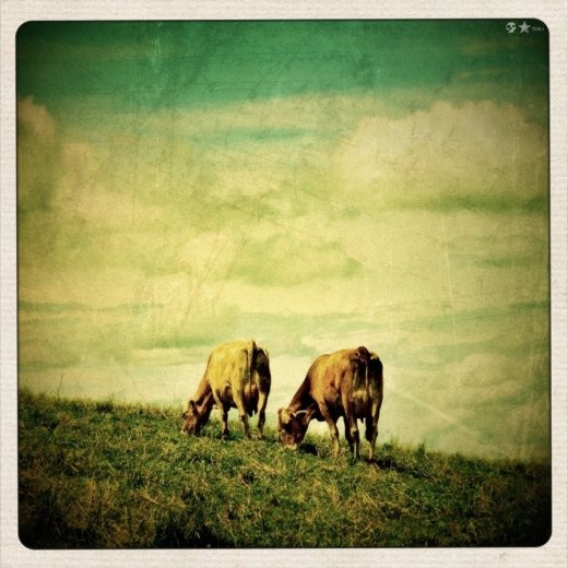 Життя прекрасне. РОЗДІЛ 6