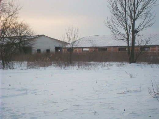 Неокомуністичний дурман про Євросоюз