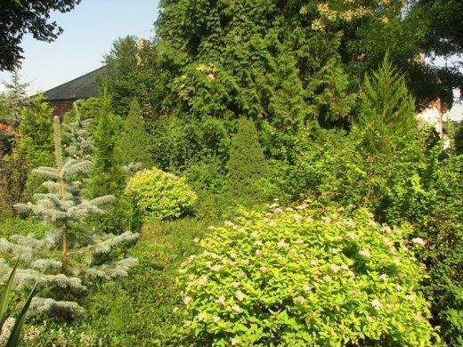 Кременець: місто церков і контрастів 