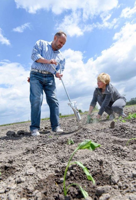 Мир в Кайдашевій сімї: українські реалії