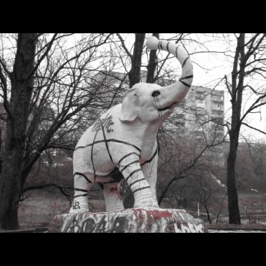 Як луцький слон міняв кольори