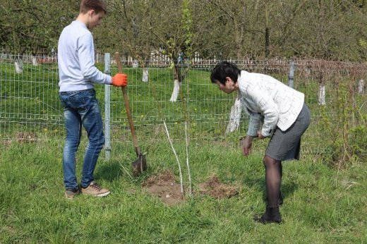 Алея Героїв